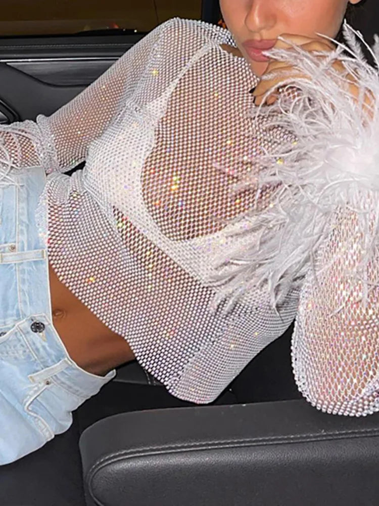 Rhinestone Mesh Feather-Sleeved Top